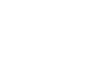 customer service 2x.png